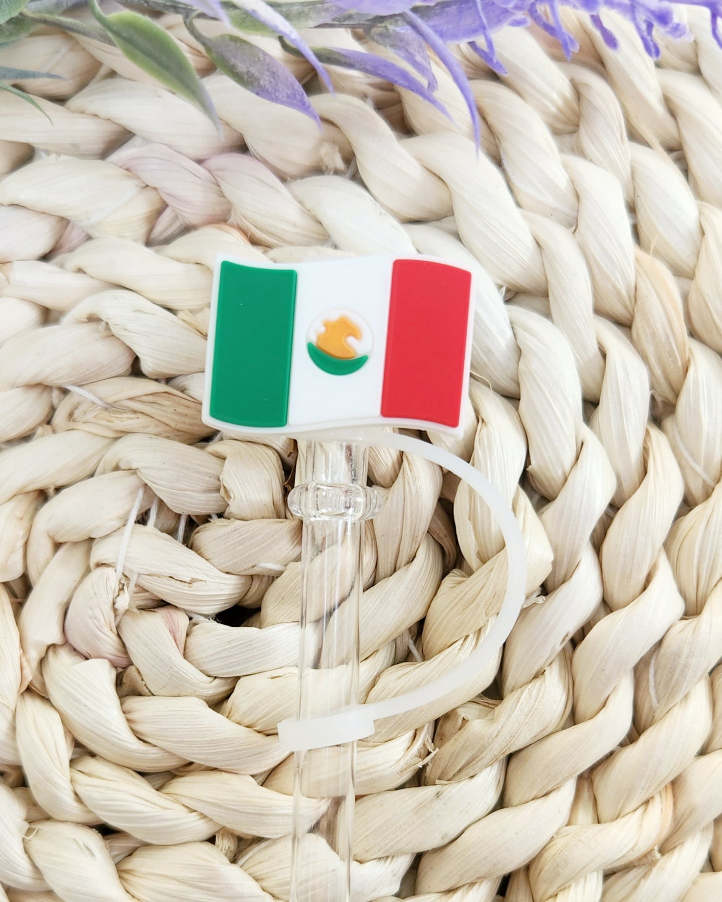 Bandera Mexico Straw Cover